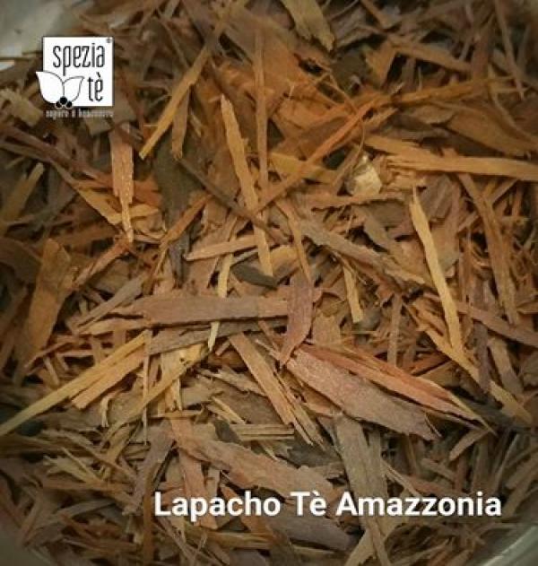 Lapacho, il tè dell'Amazzonia